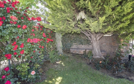 Intimate corners, mature plants